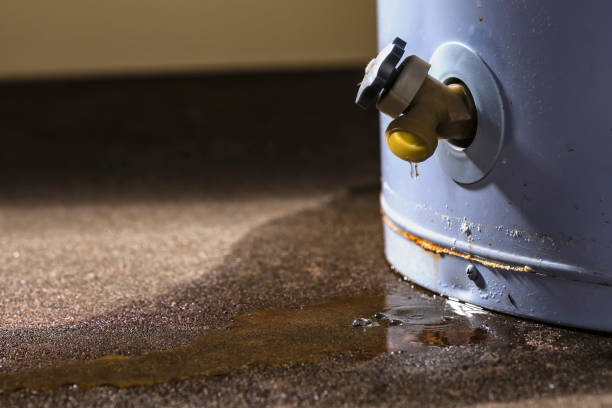 Best Basement water damage restoration  in Hampton, SC
