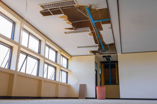 Best Fire Damage Restoration  in Hampton, SC