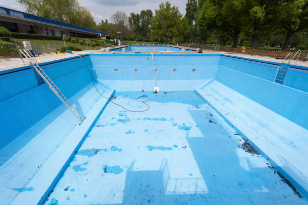 Best Water damage restoration mold remediation  in Hampton, SC