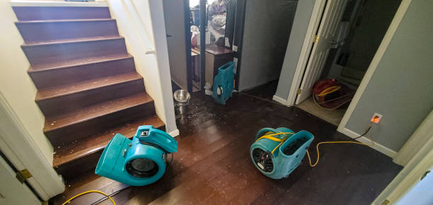 Best Water damage restoration near me  in Hampton, SC