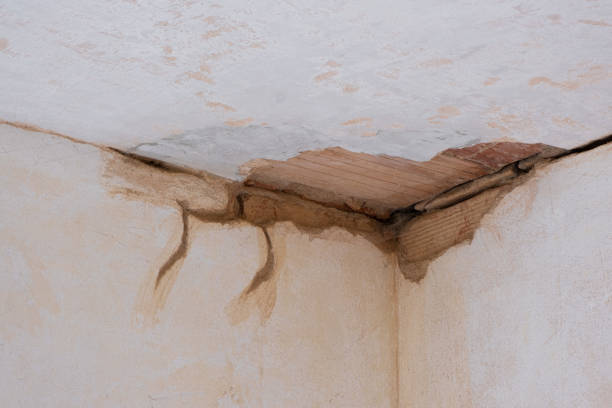 Best Flooded house restoration  in Hampton, SC