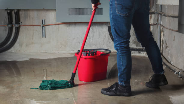Best 24/7 water damage repair  in Hampton, SC