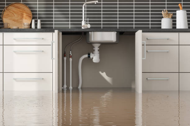 Water damage restoration mold remediation in SC