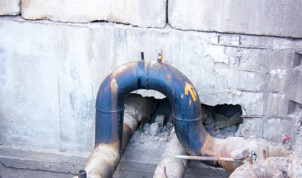 Best Water damage contractors near me  in Hampton, SC