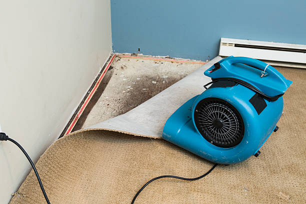 Best Fire Damage Restoration  in Hampton, SC